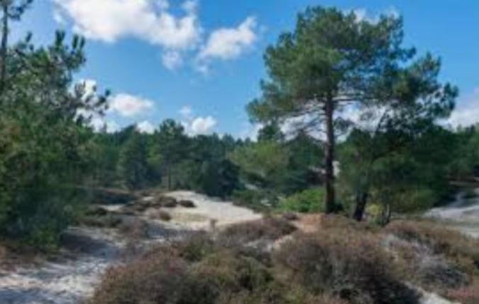 Huisje Finn, Met Grote Tuin En Veel Privacy Dirkshorn Exteriér fotografie