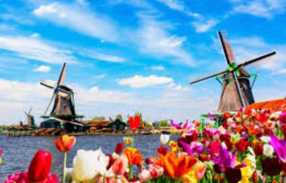 Huisje Finn, Met Grote Tuin En Veel Privacy Dirkshorn Exteriér fotografie